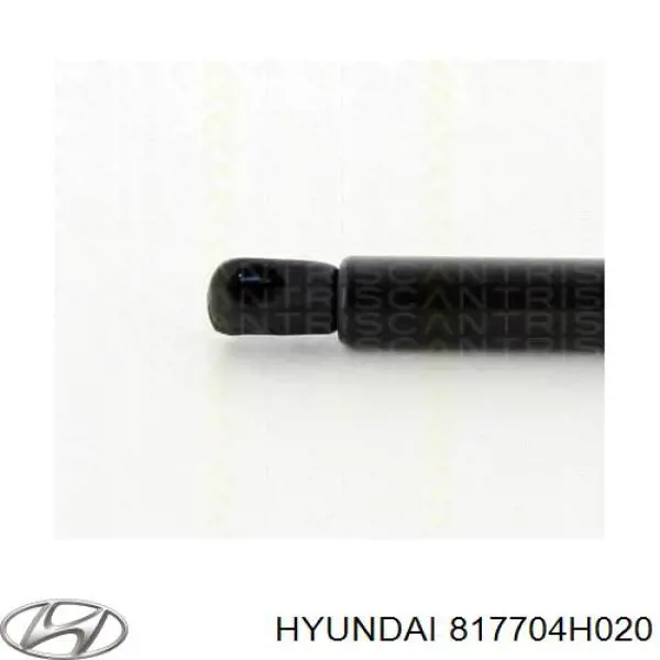 817704H020 Hyundai/Kia Amortyzator klapy bagażnika (3/5 drzwi-tylnych)
