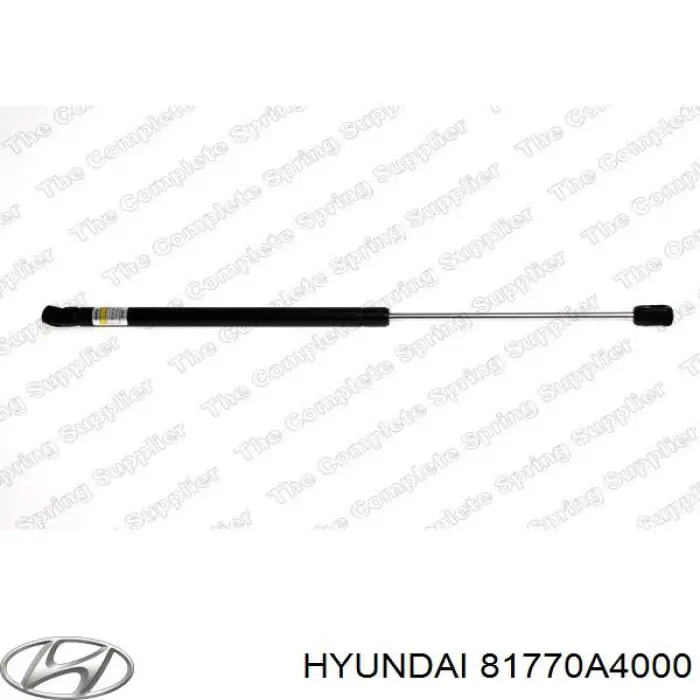 81770A4000 Hyundai/Kia Amortyzator klapy bagażnika (3/5 drzwi-tylnych)