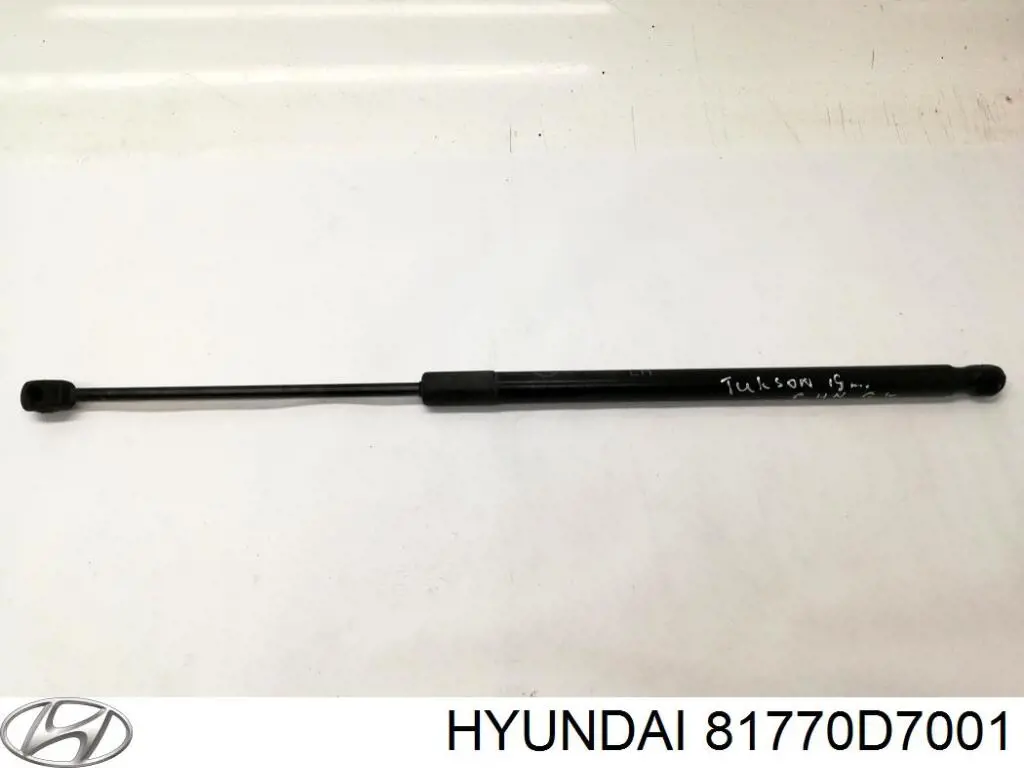 Amortyzator klapy bagażnika (3/5 drzwi-tylnych) Febi 174976 cena, od 25,93 USD