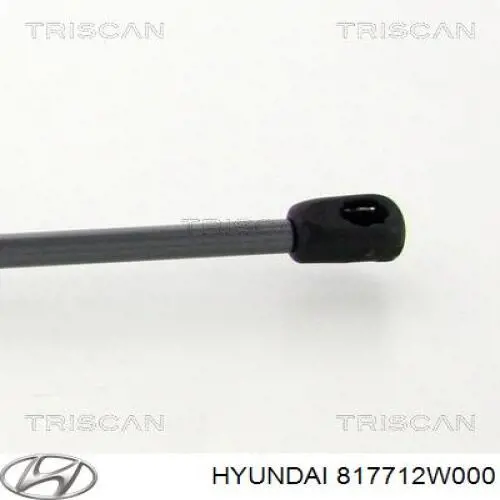 Amortyzator klapy bagażnika (3/5 drzwi-tylnych) Hyundai/Kia 817712W000 cena, od 16,40 USD