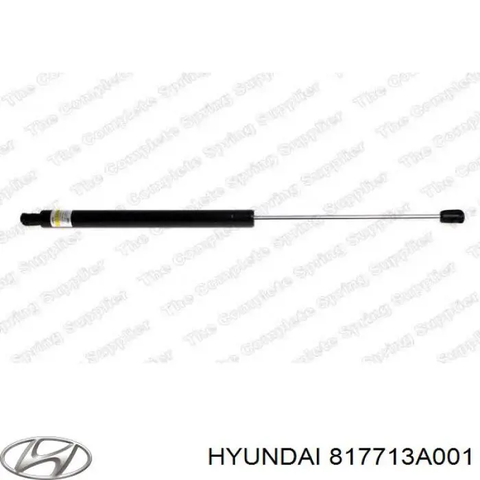 Do koszyka 817713A001 Hyundai/Kia Amortyzator klapy bagażnika (3/5 drzwi-tylnych)