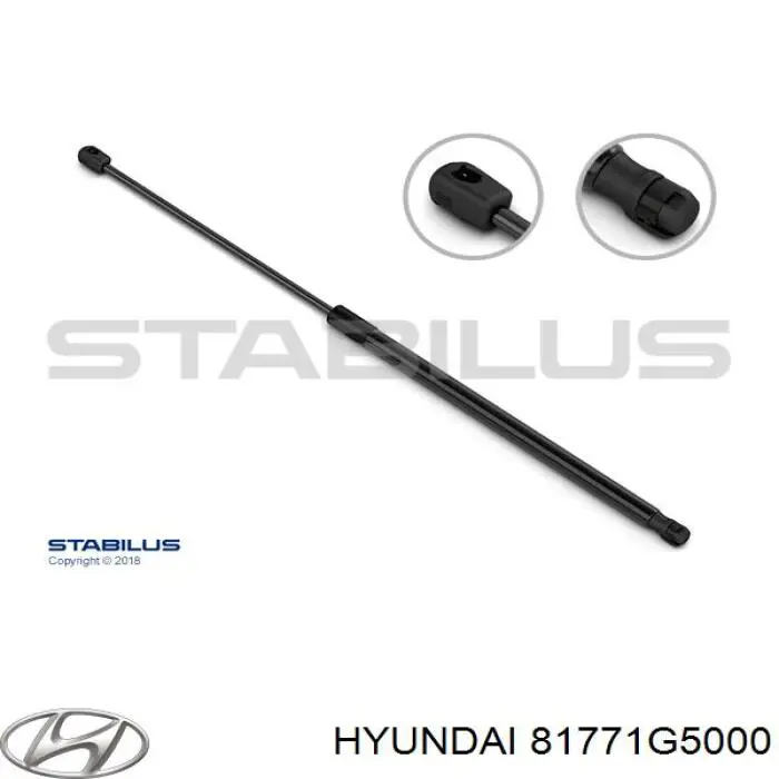 81771G5000 Hyundai/Kia Amortyzator klapy bagażnika (3/5 drzwi-tylnych)