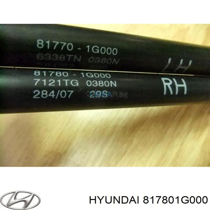 Do koszyka 817801G000 Hyundai/Kia Amortyzator klapy bagażnika (3/5 drzwi-tylnych)