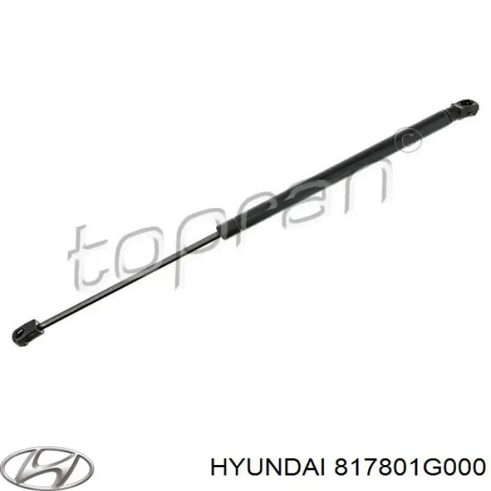 Do koszyka 817801G000 Hyundai/Kia Amortyzator klapy bagażnika (3/5 drzwi-tylnych)