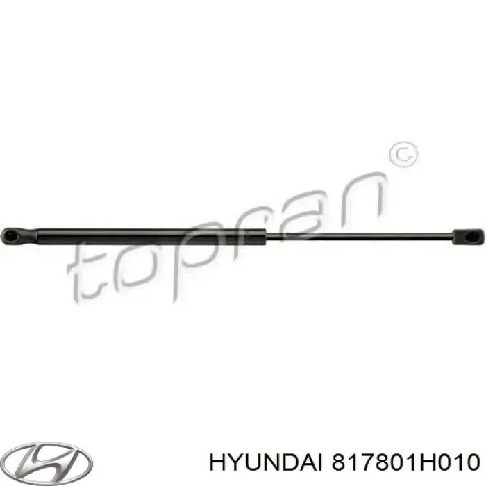 Amortyzator klapy bagażnika (3/5 drzwi-tylnych) Hyundai/Kia 817801H010 cena, od 13,41 USD