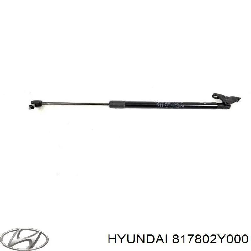 817802Y000 Hyundai/Kia Amortyzator klapy bagażnika (3/5 drzwi-tylnych)