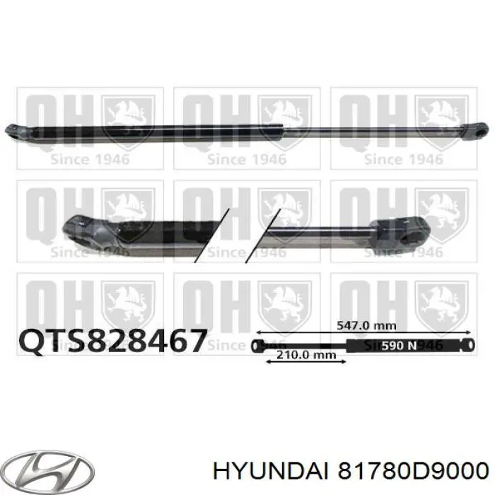 81780D9000 Hyundai/Kia Amortyzator klapy bagażnika (3/5 drzwi-tylnych)