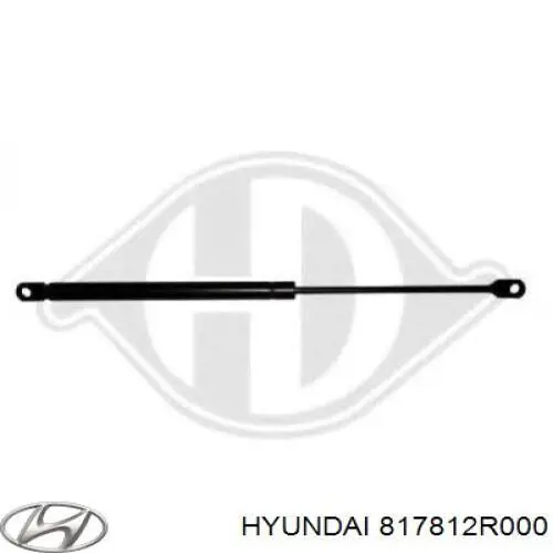 Amortyzator klapy bagażnika (3/5 drzwi-tylnych) Hyundai/Kia 817812R000 cena, od 15,03 USD