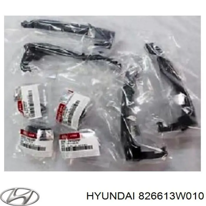 Klamka drzwi prawych przednia/tylna zewnętrzna Hyundai/Kia 826613W010 cena, od 54,48 USD
