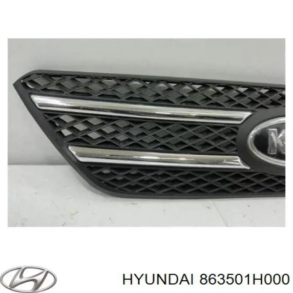 Atrapa chłodnicy Hyundai/Kia 863501H000 cena, od 71,84 USD