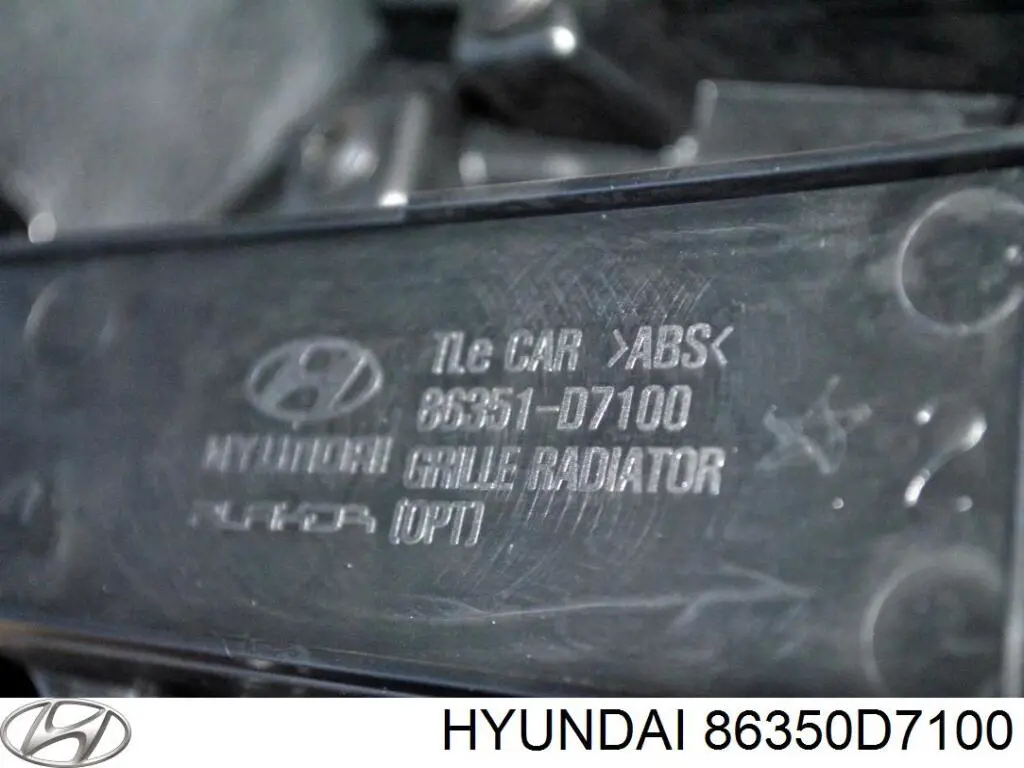 Atrapa chłodnicy Hyundai/Kia 86350D7100 cena, od 122,01 USD