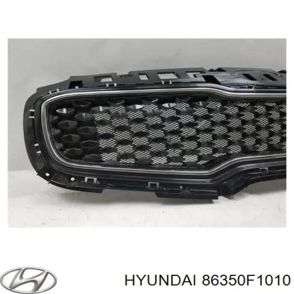 Atrapa chłodnicy Hyundai/Kia 86350F1000 cena, od 156,85 USD