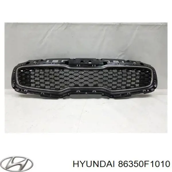 Do koszyka 86350F1000 Hyundai/Kia Atrapa chłodnicy