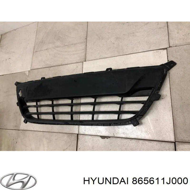 Kratka zderzaka przedniego Hyundai/Kia 865611J000 cena, od 26,34 USD