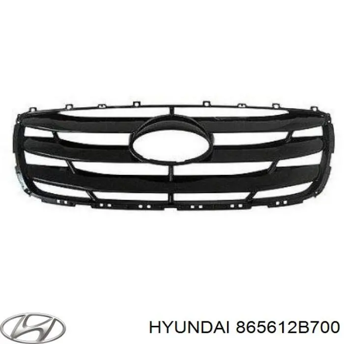Atrapa chłodnicy Hyundai/Kia 865612B700 cena, od 52,84 USD