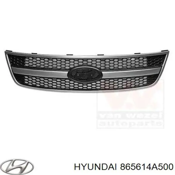 Atrapa chłodnicy Hyundai H-1 STAREX Starex autobus (2001 - 2004) cena, od 77,85 USD