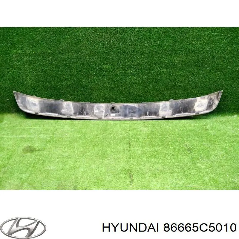 Nakładka na zderzak tylny Hyundai/Kia 86665C5010 cena, od 50,06 USD