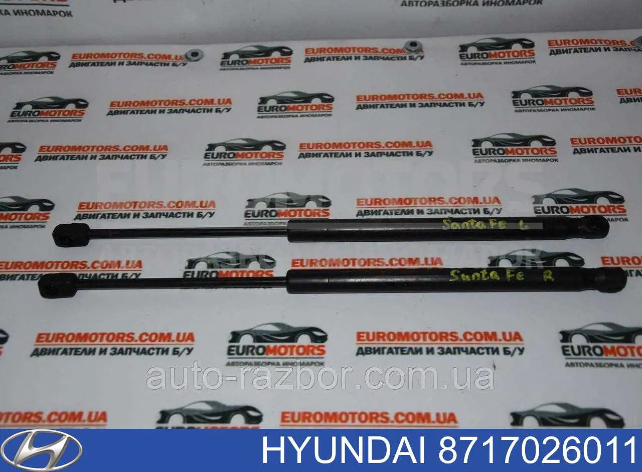 8717026011 Hyundai/Kia Amortyzator szyby bagażnika (3/5 drzwi tylnych)