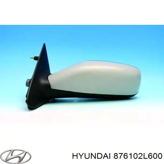  Hyundai/Kia 876102L600