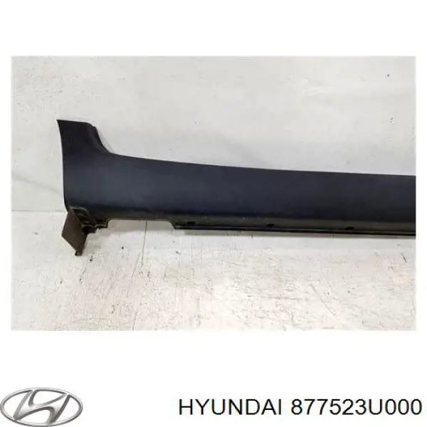 Nakładka (listwa ochronna) na próg zewnętrzna prawa Hyundai/Kia 877523U000 cena, od 153,50 USD
