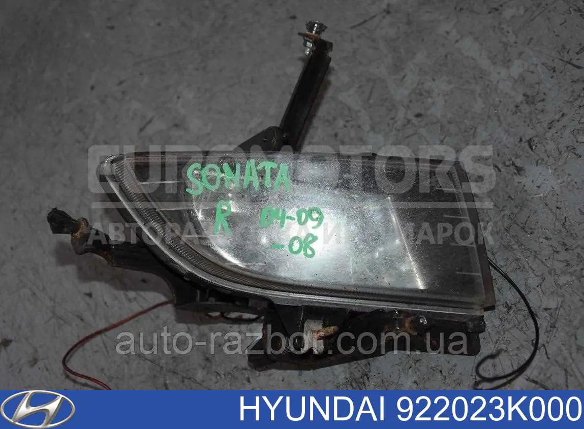 Do koszyka 922023K000 Hyundai/Kia Lampa przeciwmgielna prawa
