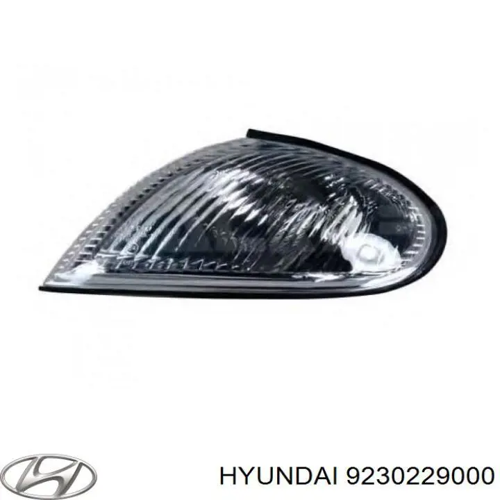 Kierunkowskaz prawy Hyundai/Kia 9230229000 cena, od 33,23 USD
