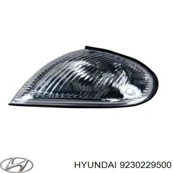 Do koszyka 9230229000 Hyundai/Kia Kierunkowskaz prawy