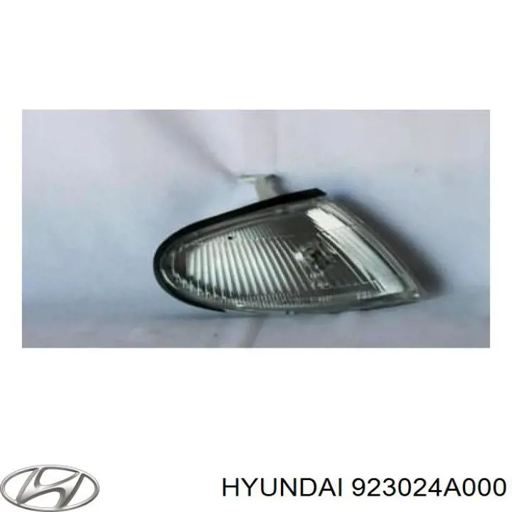 Kierunkowskaz prawy Hyundai/Kia 923024A000 cena, od 22,38 USD