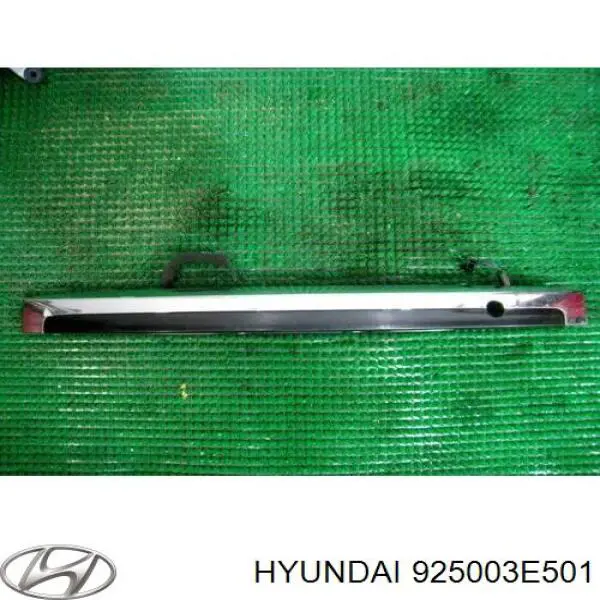 Lampa oświetlenia tylnej tablicy rejestracyjnej KIA Sorento I