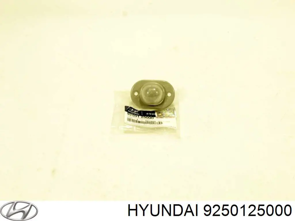 Lampa oświetlenia tylnej tablicy rejestracyjnej Hyundai Matrix minivan (FC) (2001 - 2005) cena, od 57,80 USD