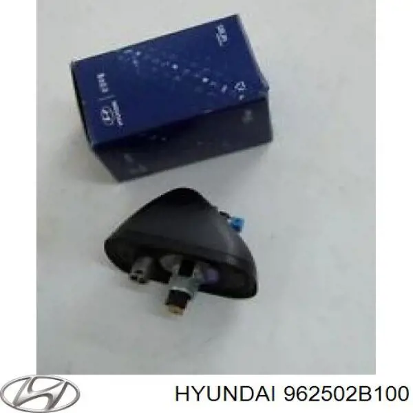 Antena Hyundai Santa Fe II SUV (CM) (2006 - 2012) cena, od 47,71 USD