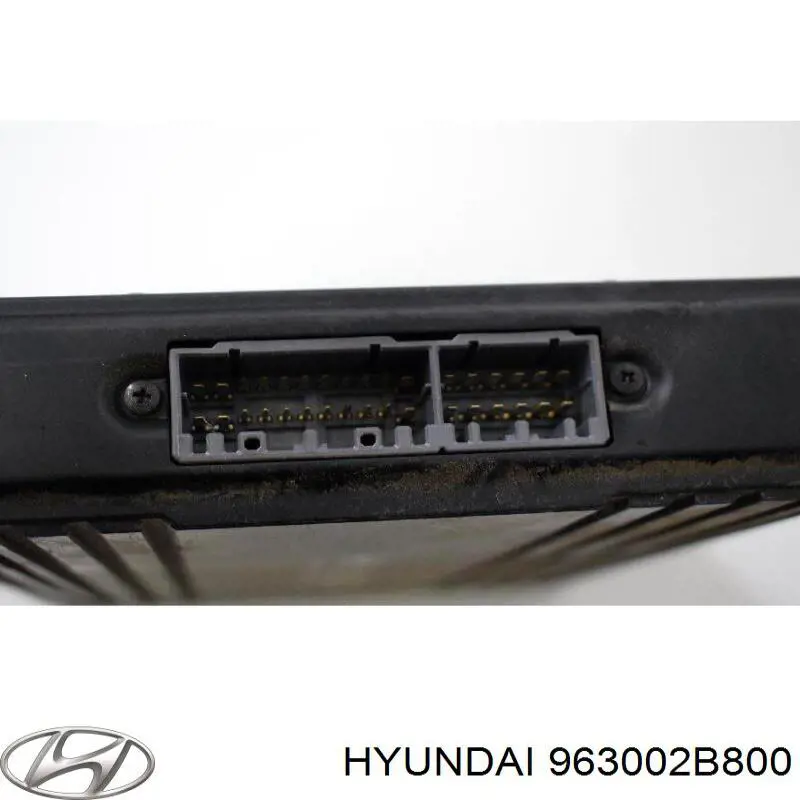 Do koszyka 963002B800 Hyundai/Kia 