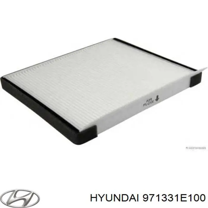 Filtr kabiny Hyundai/Kia 971331E100