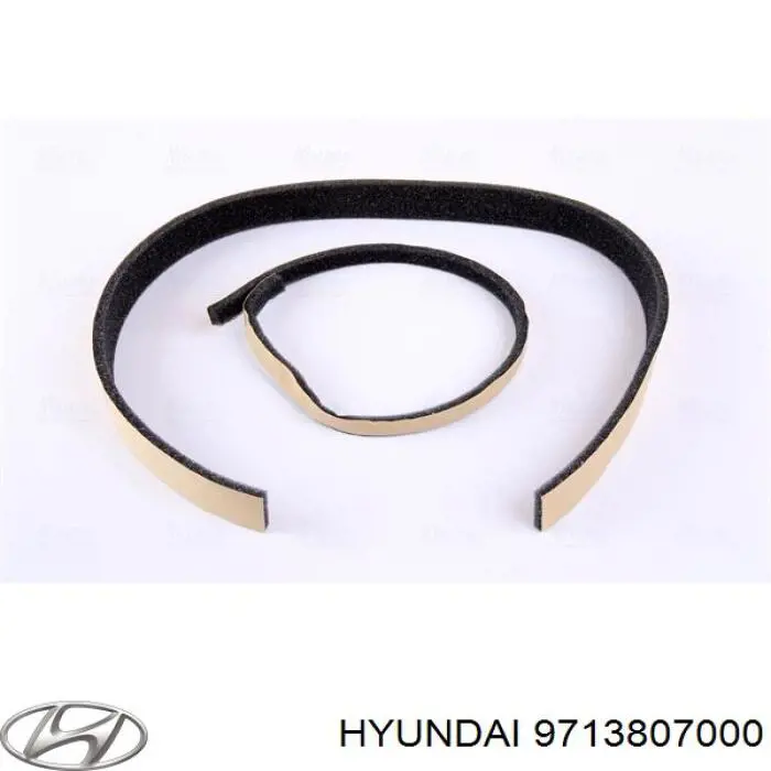 Do koszyka 9713807000 Hyundai/Kia Chłodnica nagrzewnicy (ogrzewacza)