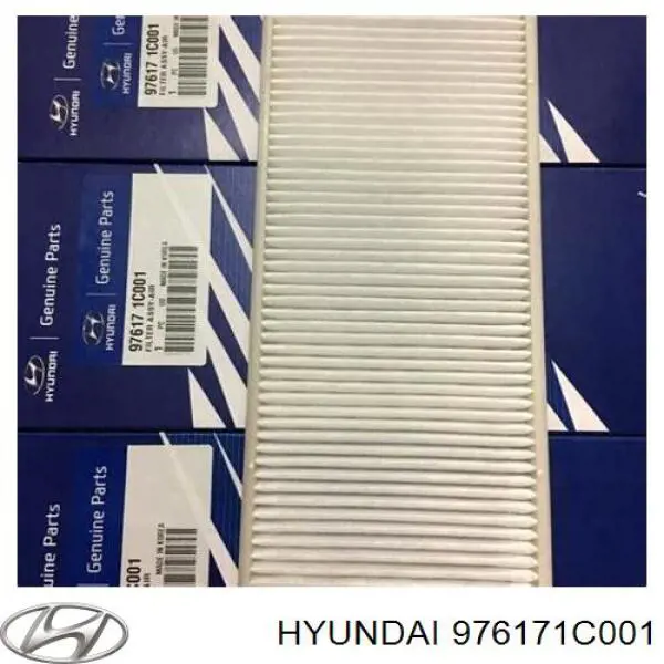 Filtr kabiny Hyundai/Kia 976171C001 cena, od 8,44 USD