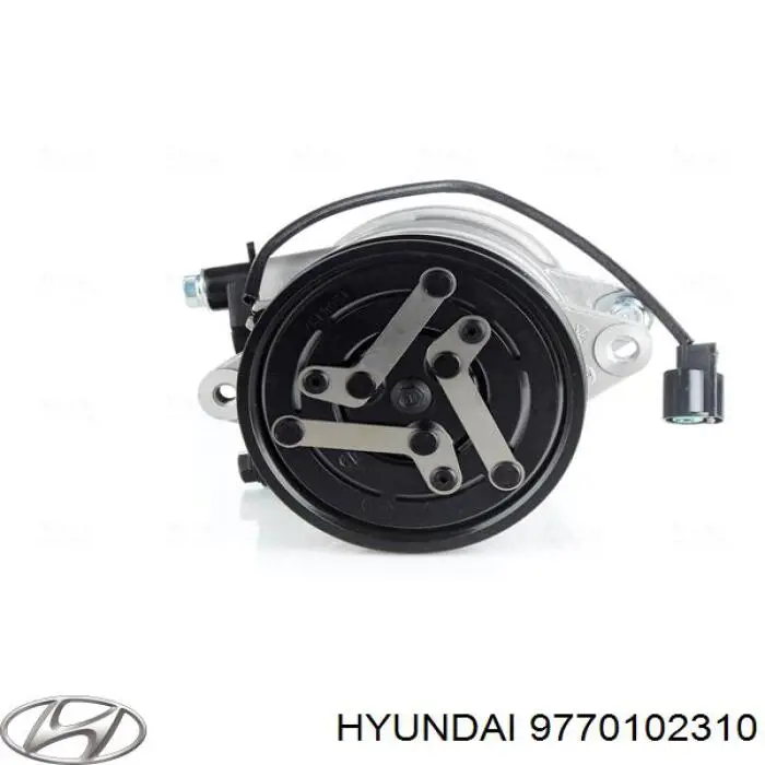 Sprężarka klimatyzacji Hyundai/Kia 9770102310 cena, od 105,56 USD