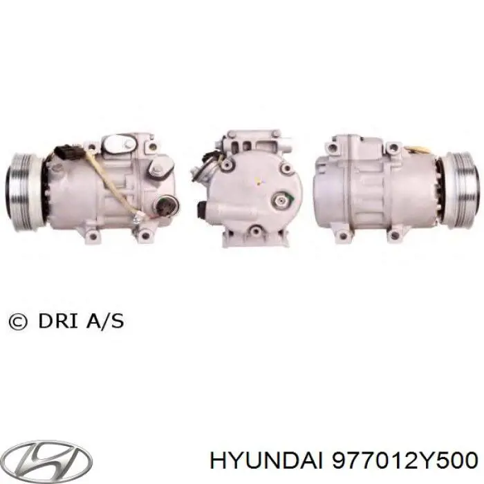 Do koszyka 977012Y500 Hyundai/Kia Sprężarka klimatyzacji