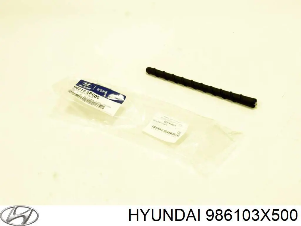 986103X500 Hyundai/Kia Zbiorniczek spryskiwacza szyb