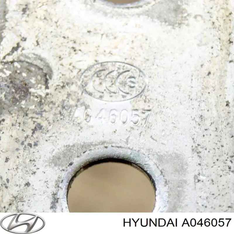 A046057 Hyundai/Kia Zawias drzwi przednich lewych