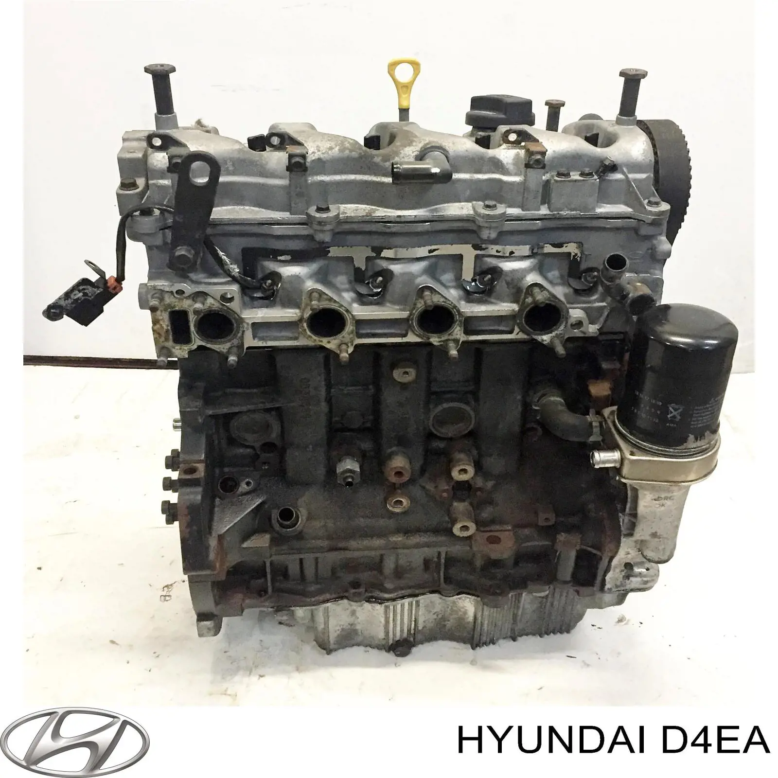 Silnik w komplecie Hyundai Tucson I SUV (JM) (2004 - 2010) cena, od 58,12 USD