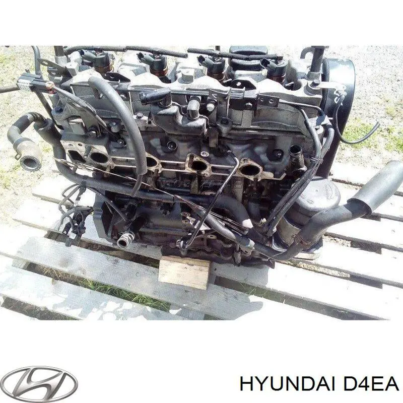 Silnik w komplecie KIA Cerato I sedana (LD) (2004 - 2008) cena, od 1517,94 USD