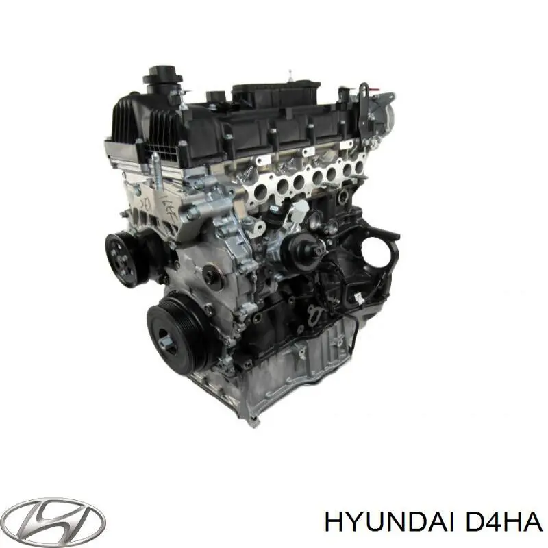 Do koszyka Silnik w komplecie Hyundai Santa Fe IV TM, TMA