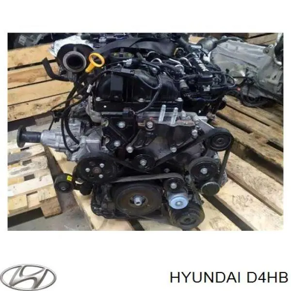  Hyundai/Kia D4HB