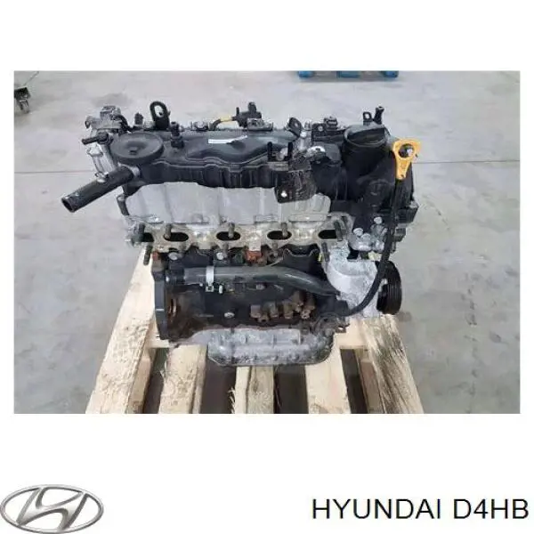 Do koszyka D4HB Hyundai/Kia Silnik w komplecie