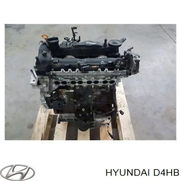 Do koszyka D4HB Hyundai/Kia Silnik w komplecie