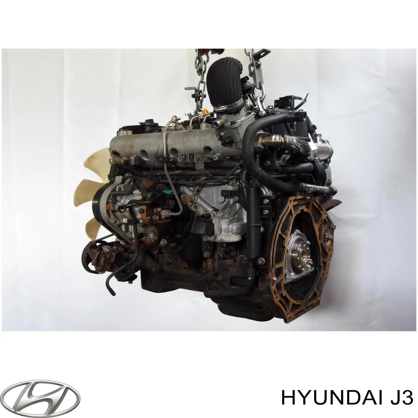 Silnik w komplecie KIA Carnival II minivan (GQ) (2001 - 2005) cena, od 151,48 USD