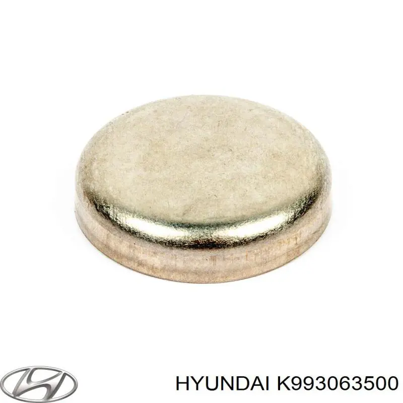 Zaślepka głowicy cylindrów/bloku cylindrów Hyundai/Kia K993063500 cena, od 2,16 USD