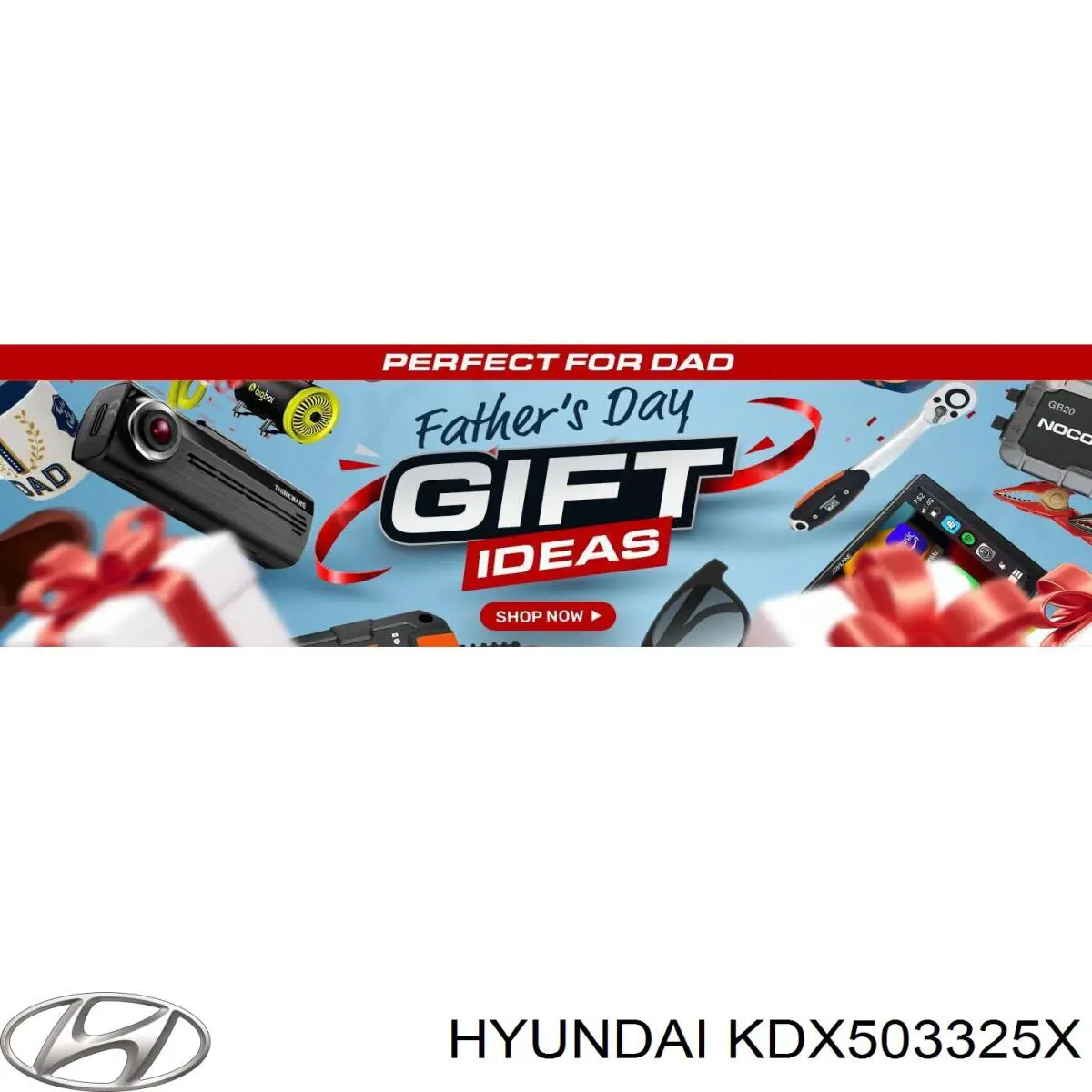 Do koszyka Tarcza hamulcowa przednia KIA Avella DELTA 