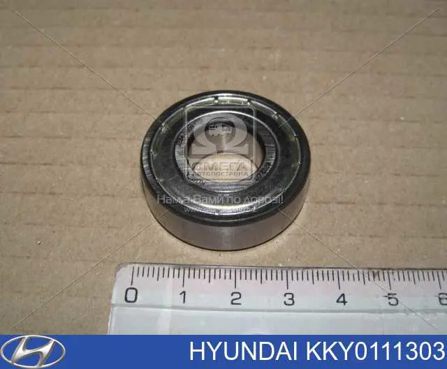 Do koszyka KKY0111303 Hyundai/Kia Łożysko alternatora
