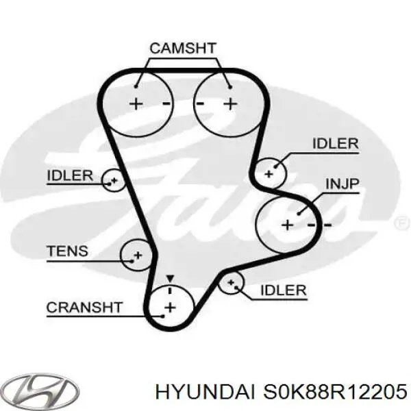 Do koszyka S0K88R12205 Hyundai/Kia Pasek rozrządu
